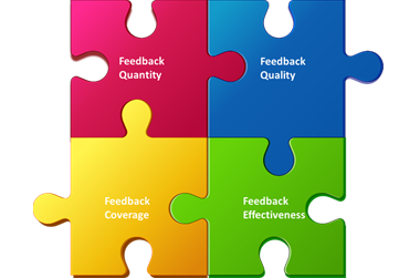 Continuous Feedback Management Puzzle