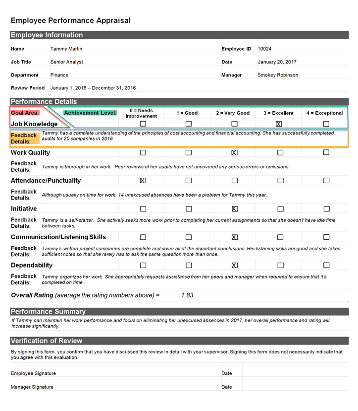 Image 1 - Classic Performance Appraisal Showing Goal Areas, Achievement Levels, and Feedback Details